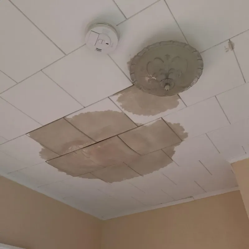 Ceiling Water Damage Repair in Hartford County, CT