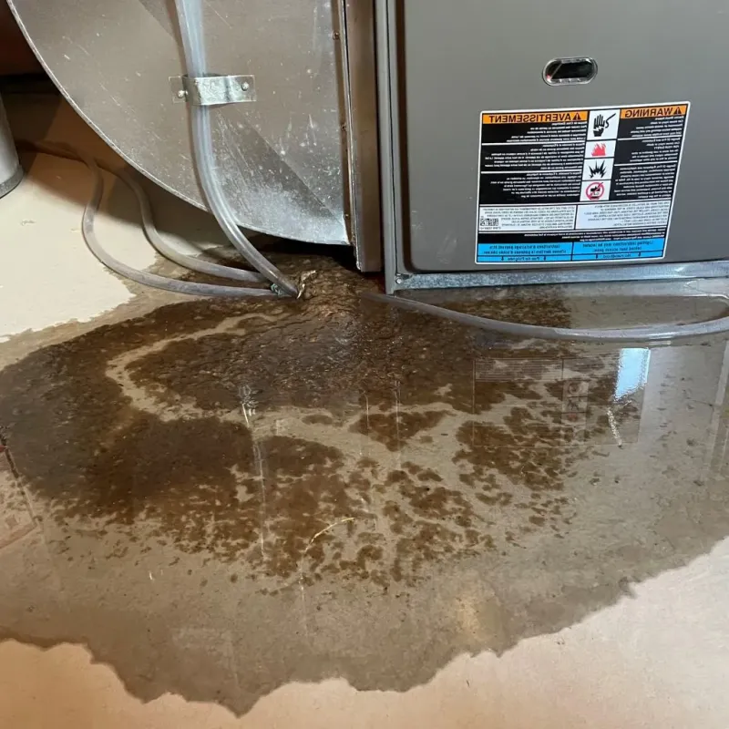 Pipe Burst and Leak Restoration in Hartford County, CT