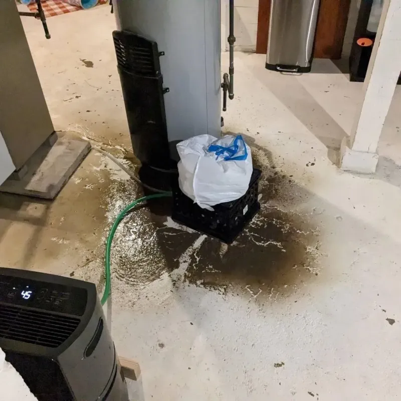 Sewage Backup Cleanup Service in Hartford County, CT
